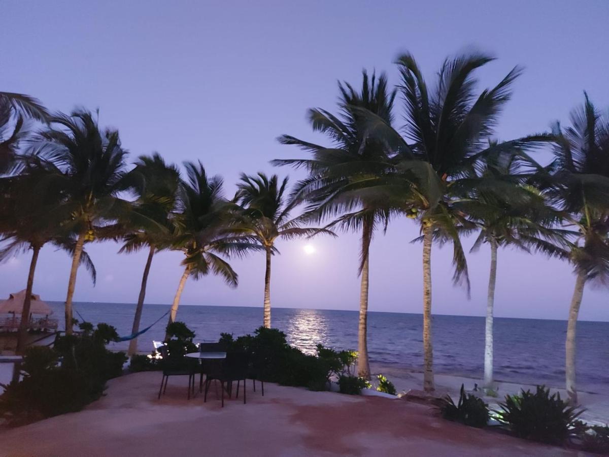 プエルト・モレロスCasa 5 Palmasアパートメント エクステリア 写真
